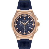 Часы Wainer WA.10200-E